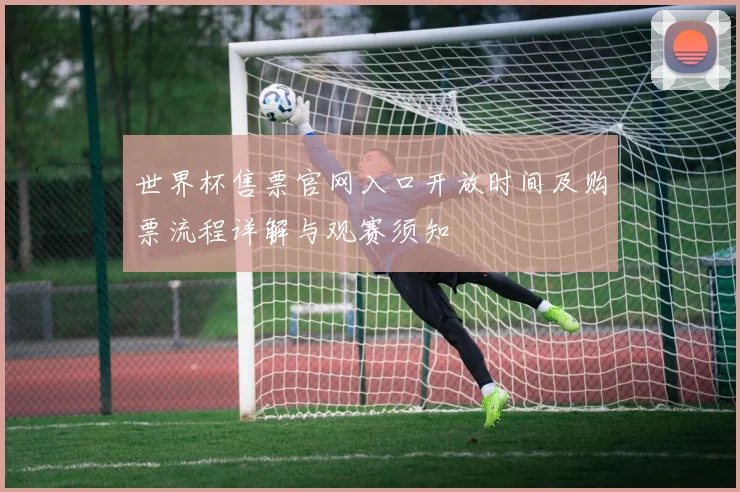 世界杯售票官网入口开放时间及购票流程详解与观赛须知