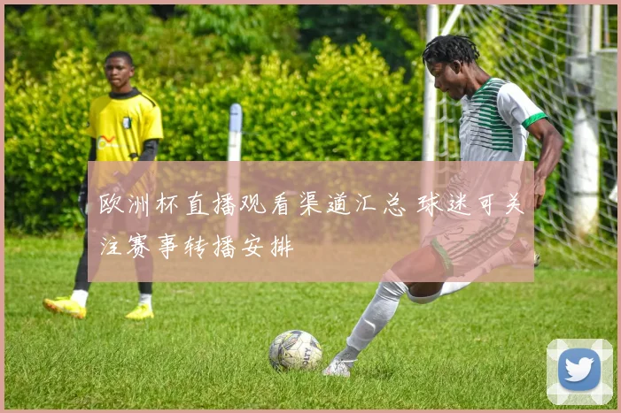 欧洲杯直播观看渠道汇总 球迷可关注赛事转播安排