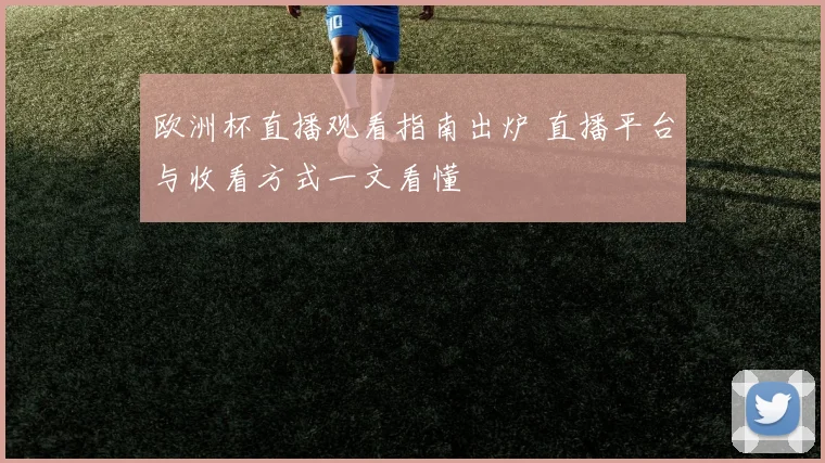 欧洲杯直播观看指南出炉 直播平台与收看方式一文看懂